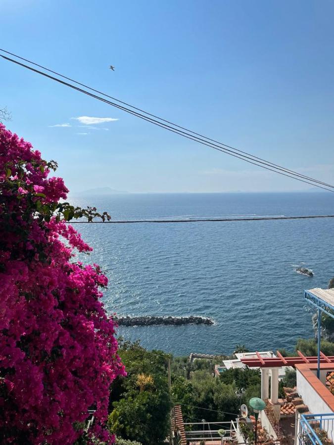 La Rosa Dei Venti Villa Massa Lubrense Luaran gambar