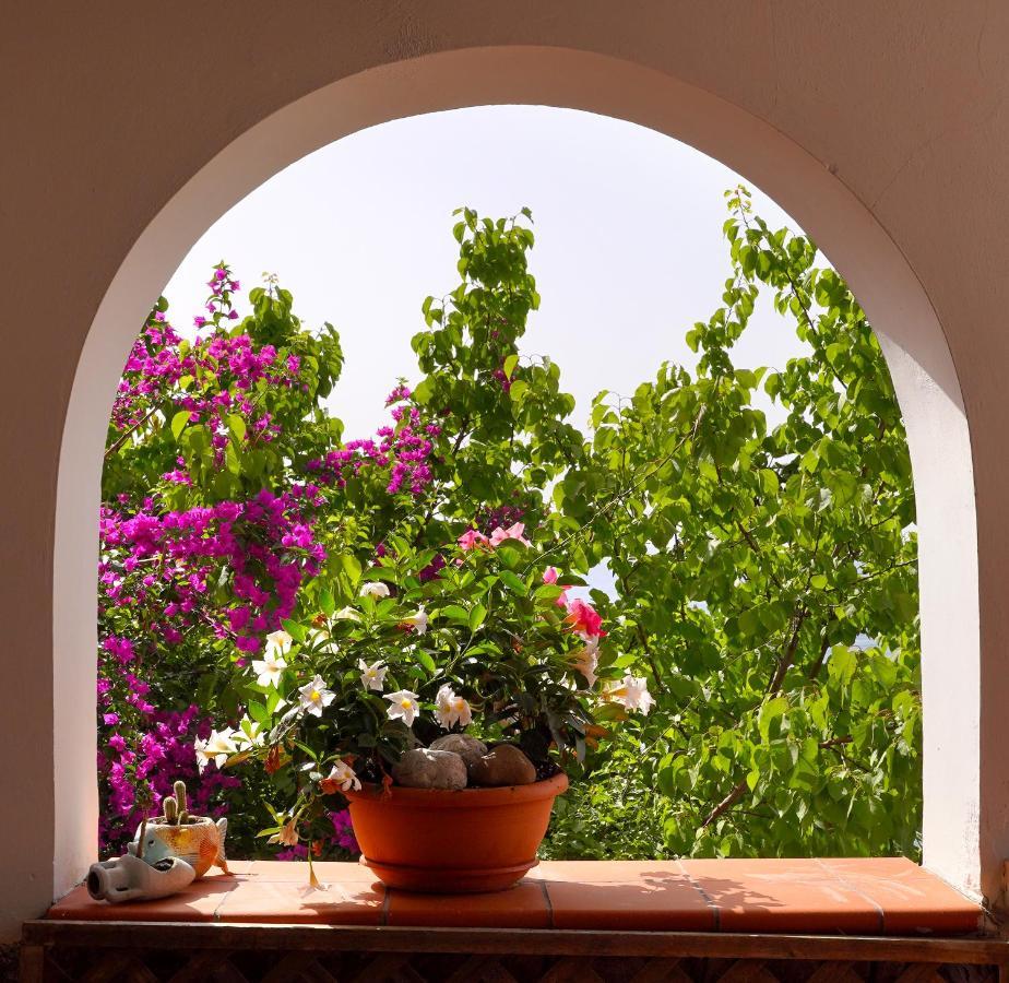 La Rosa Dei Venti Villa Massa Lubrense Luaran gambar