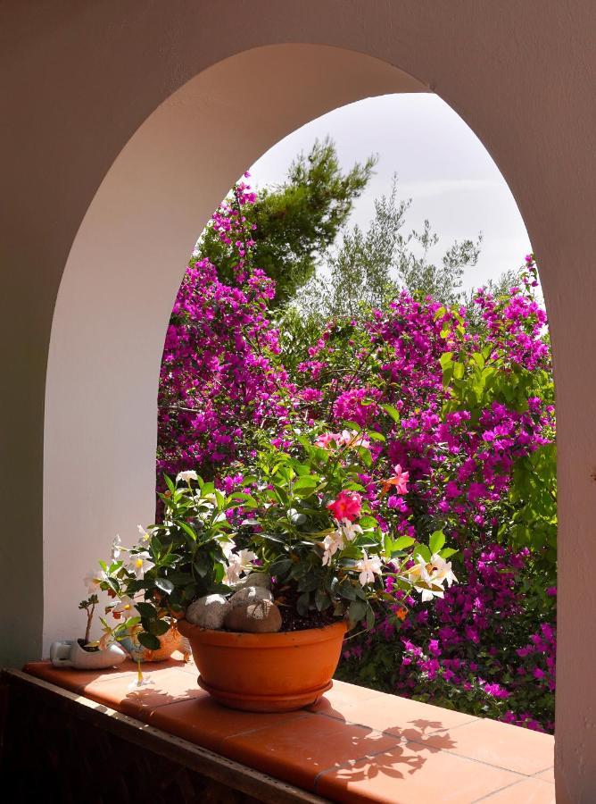 La Rosa Dei Venti Villa Massa Lubrense Luaran gambar